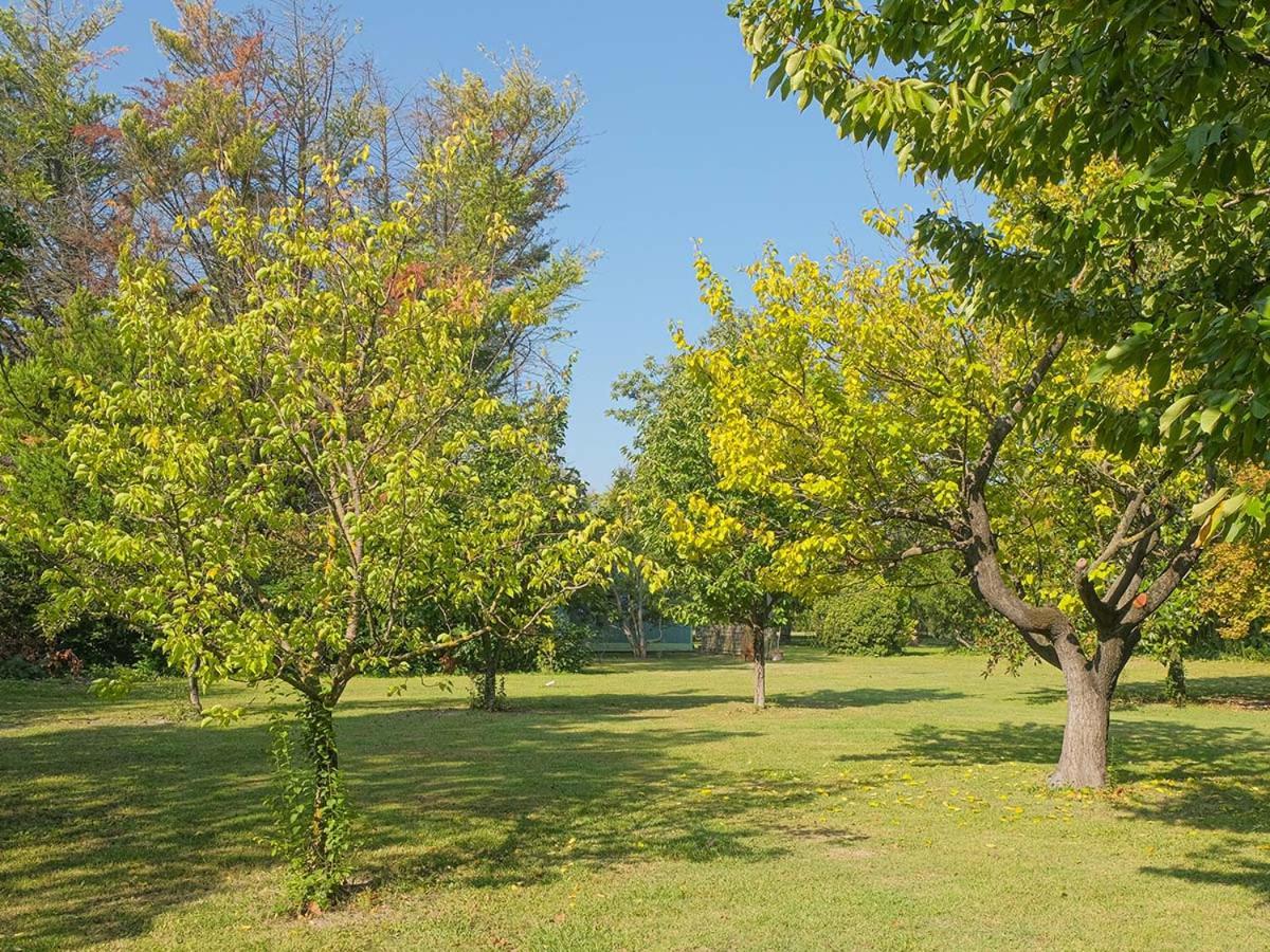 Montjoia Panzió L'Isle-sur-la-Sorgue Kültér fotó