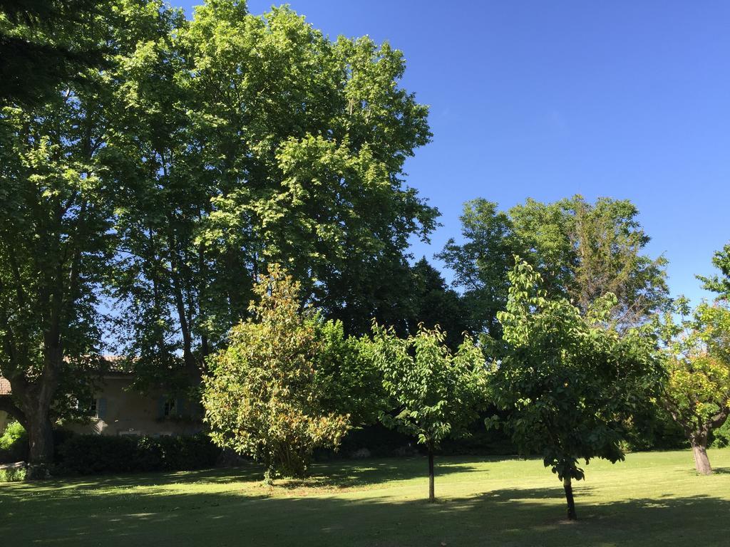 Montjoia Panzió L'Isle-sur-la-Sorgue Kültér fotó